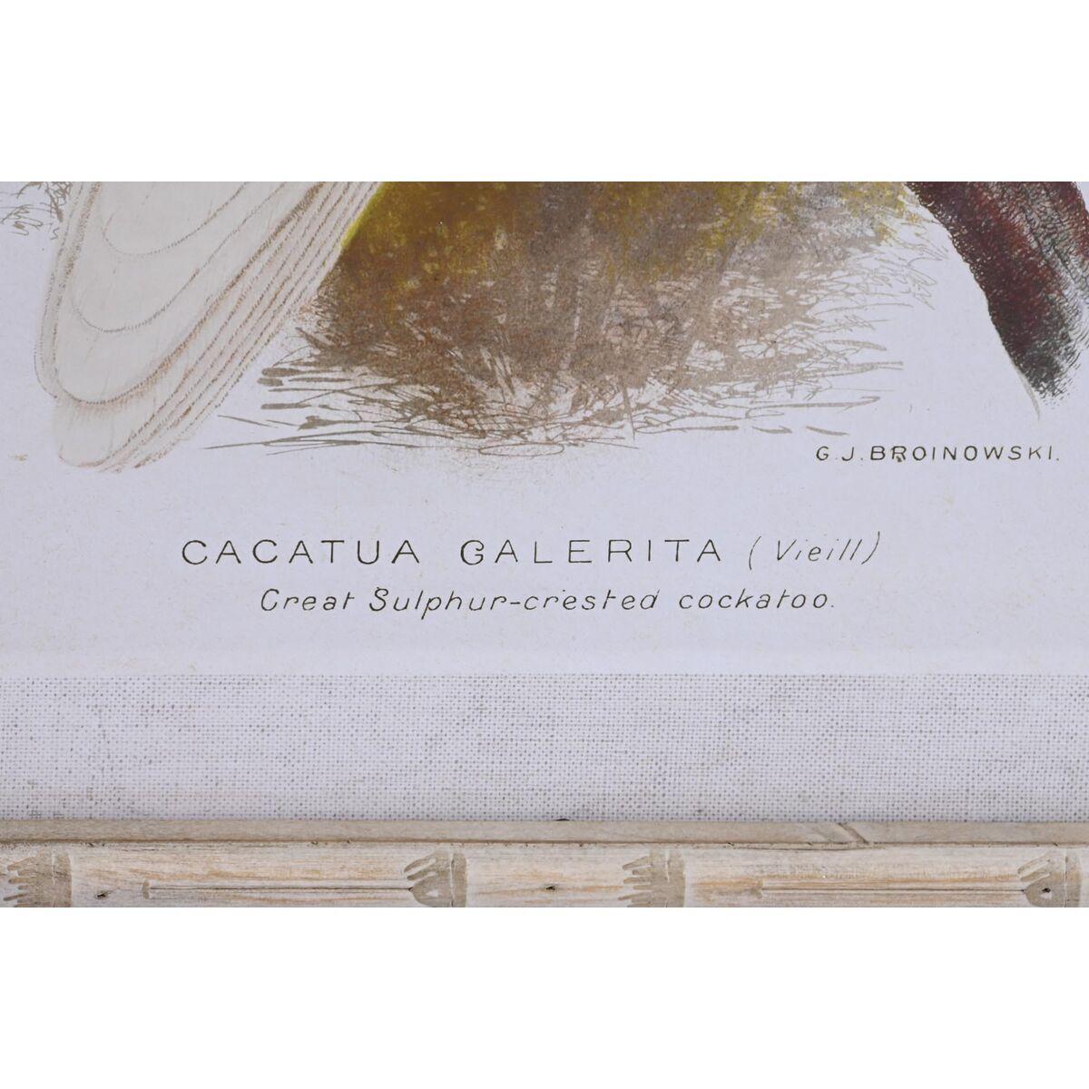 product/d/k/dkd-home-decor_s3038849_blanc_1.jpg