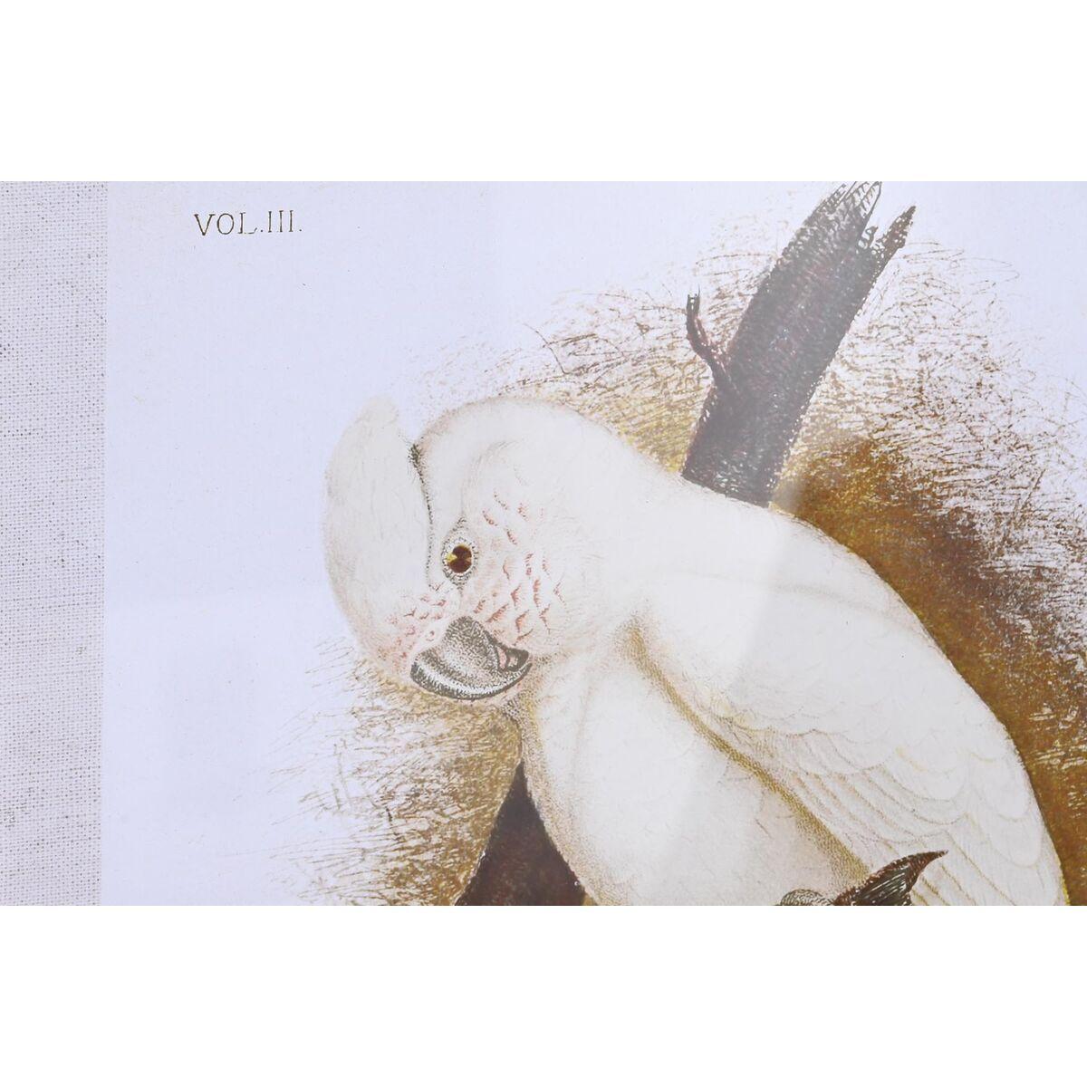 product/d/k/dkd-home-decor_s3038849_blanc_5.jpg