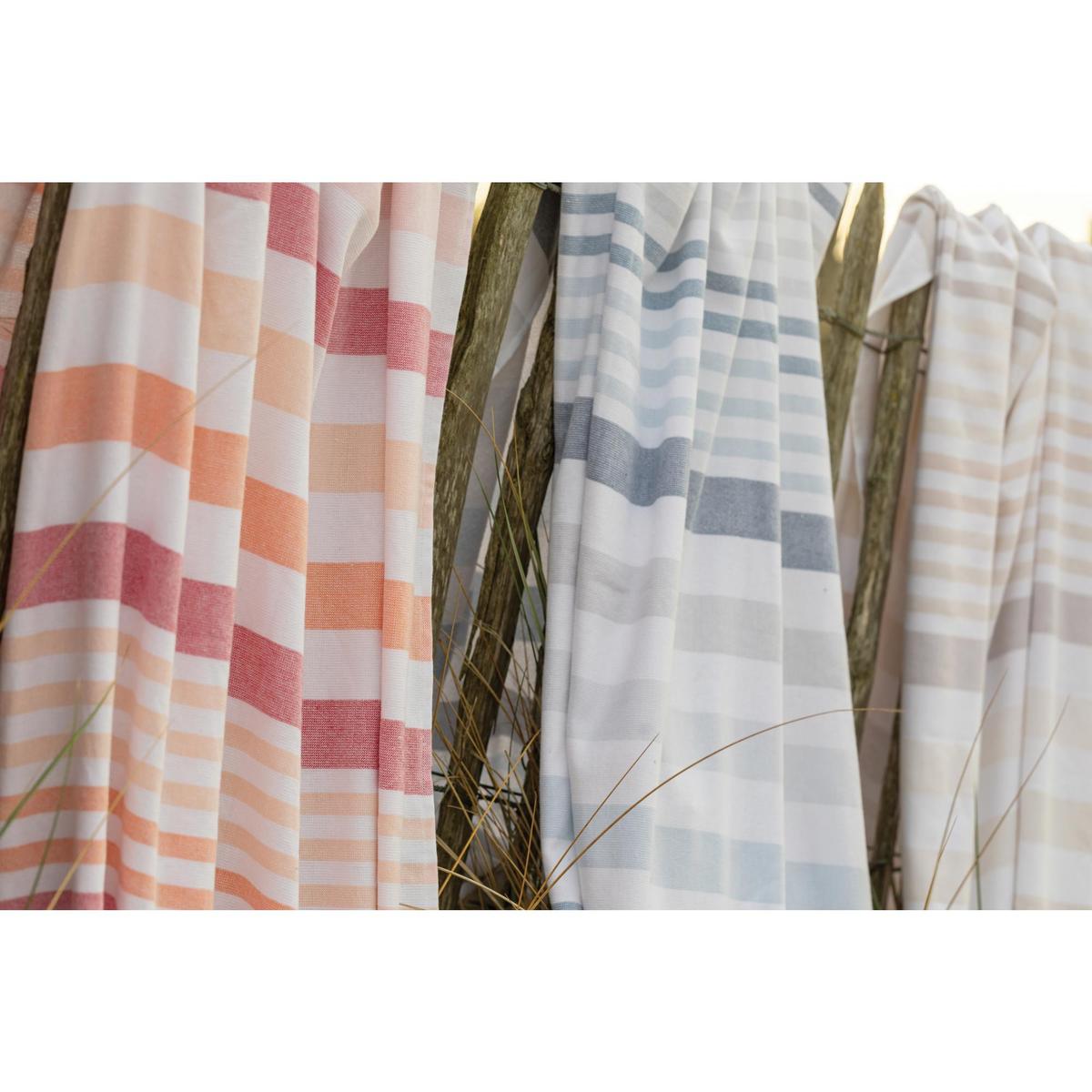 product/v/i/vivaraise_1677045000_2.jpg