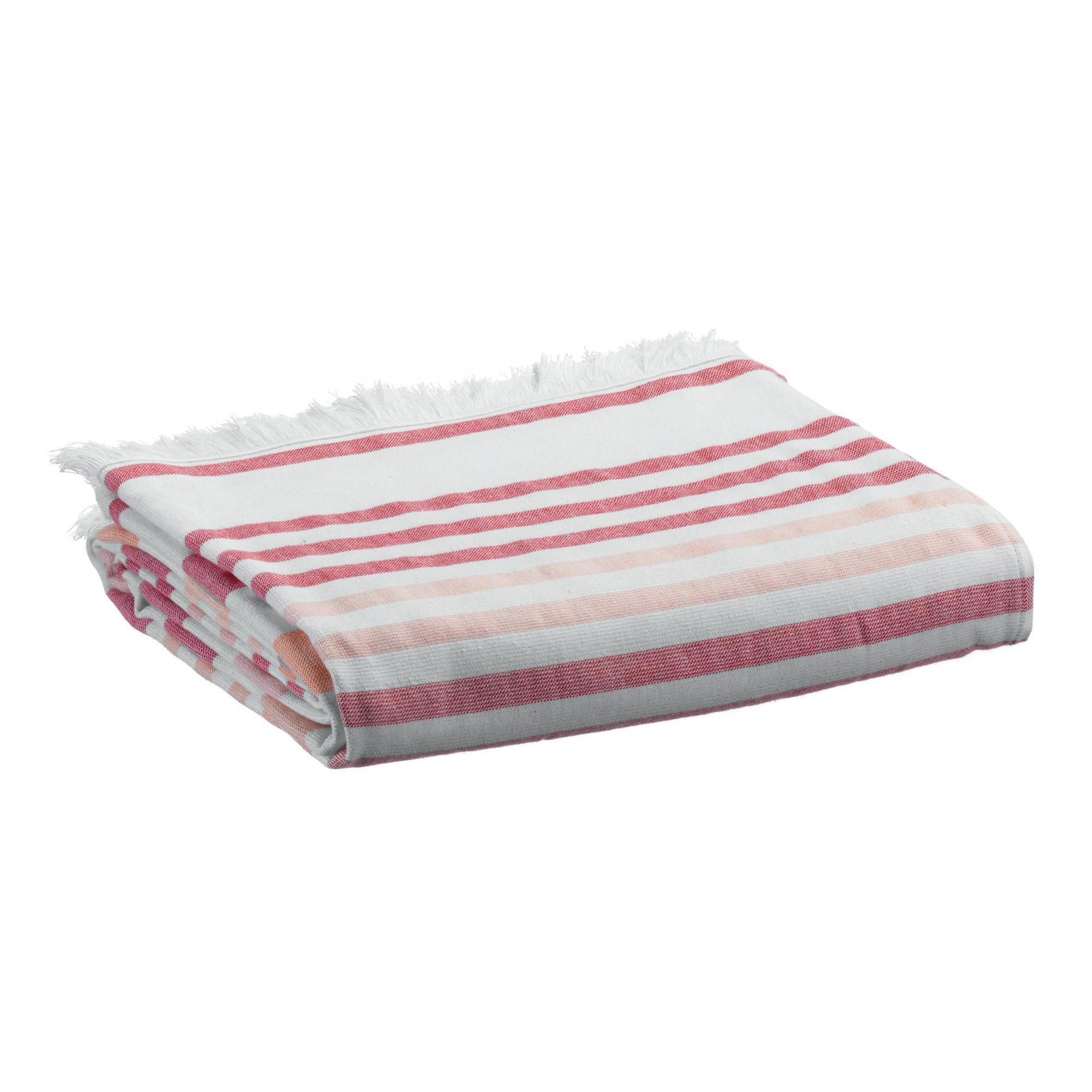 product/v/i/vivaraise_1677045000_1.jpg