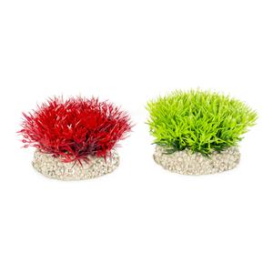 242-457801-plant-aquarium-decoration-aqua-della-crystalwort-moss-green-red-5-cm