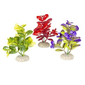 242-458365-plant-aquarium-decoration-aqua-della-crassula-green-red-purple-16-cm