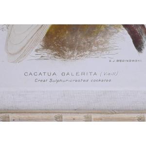 product/d/k/dkd-home-decor_s3038849_blanc_1.jpg