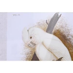 product/d/k/dkd-home-decor_s3038849_blanc_5.jpg