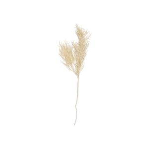 pt3902wh-artificial-plant-fern-stem-asparagus-present-time-white-25-4x86-4-cm