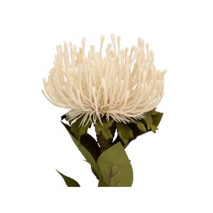 pt3905wh-artificial-plant-present-time-protea-flower-large-white-12-01x73-1-cm