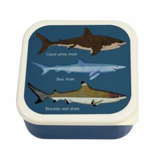 29497-food-storage-box-rex-london-sharks-x3-blue-11-5x11-5x5-5-cm