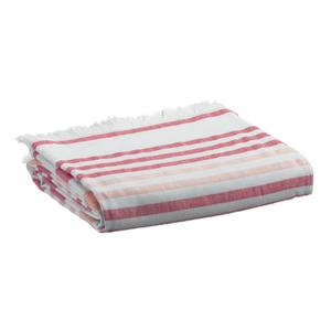 product/v/i/vivaraise_1677045000_1.jpg
