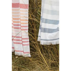 product/v/i/vivaraise_1677045000_4.jpg
